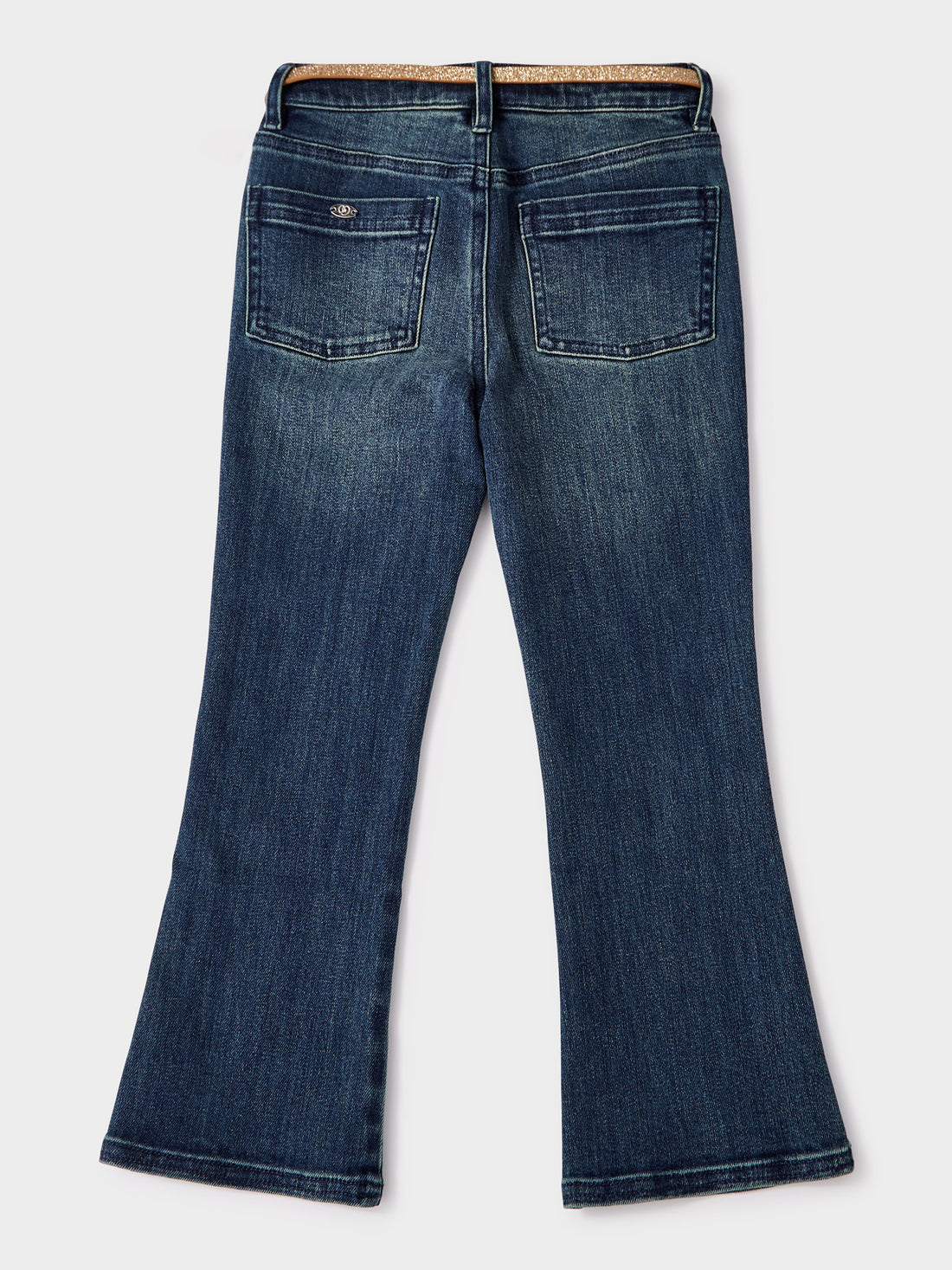 GWD Flavia Indigo Flare Jean