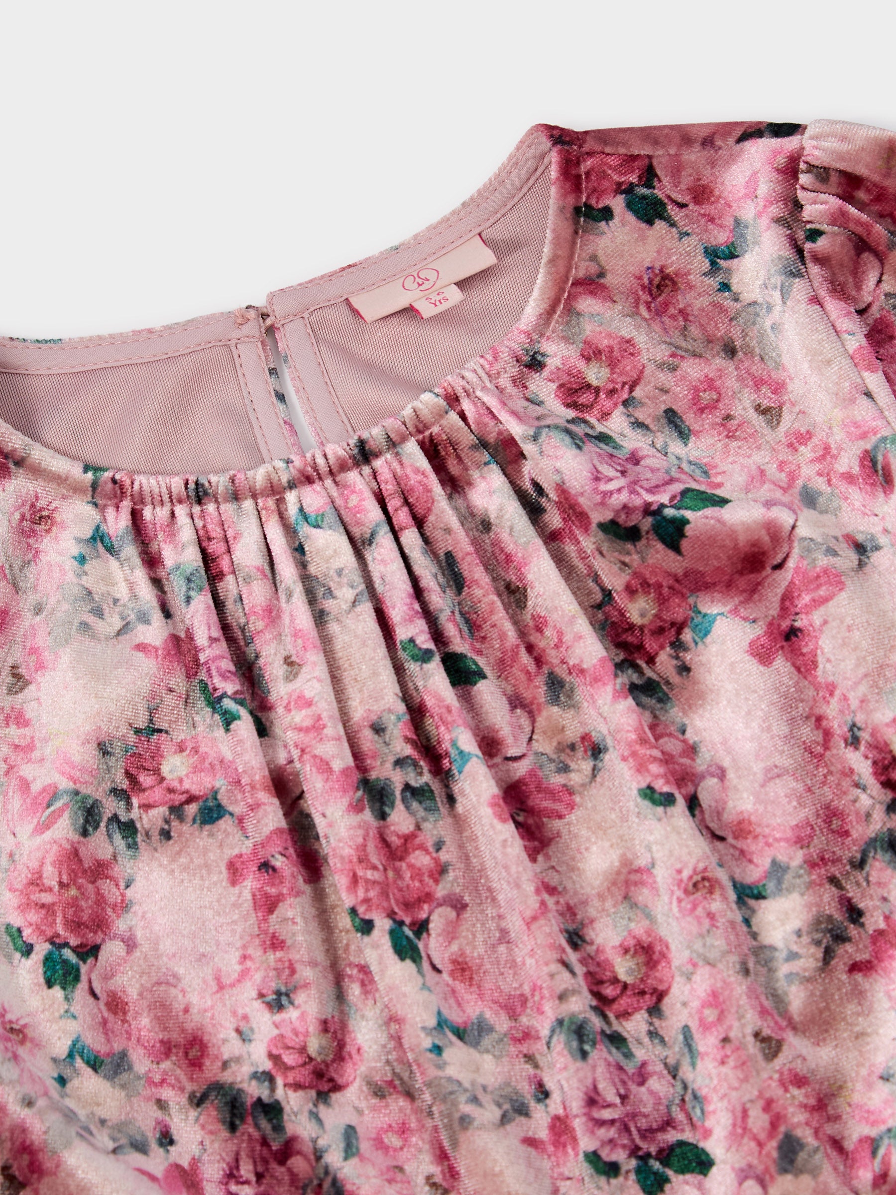 GWD Violet Floral Printed Velvet Tiered Dress