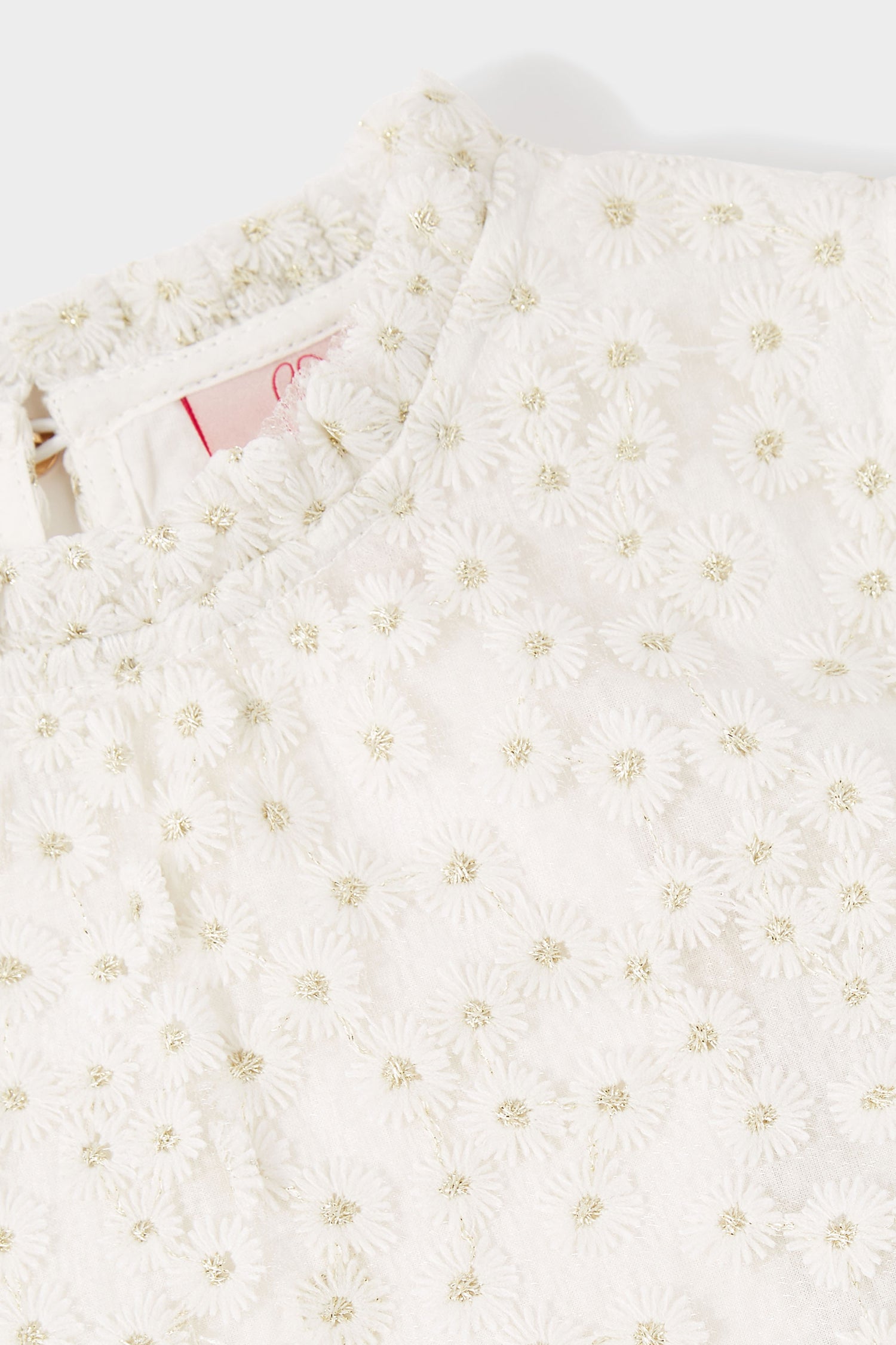 Fia Daisy Embroidered Dress