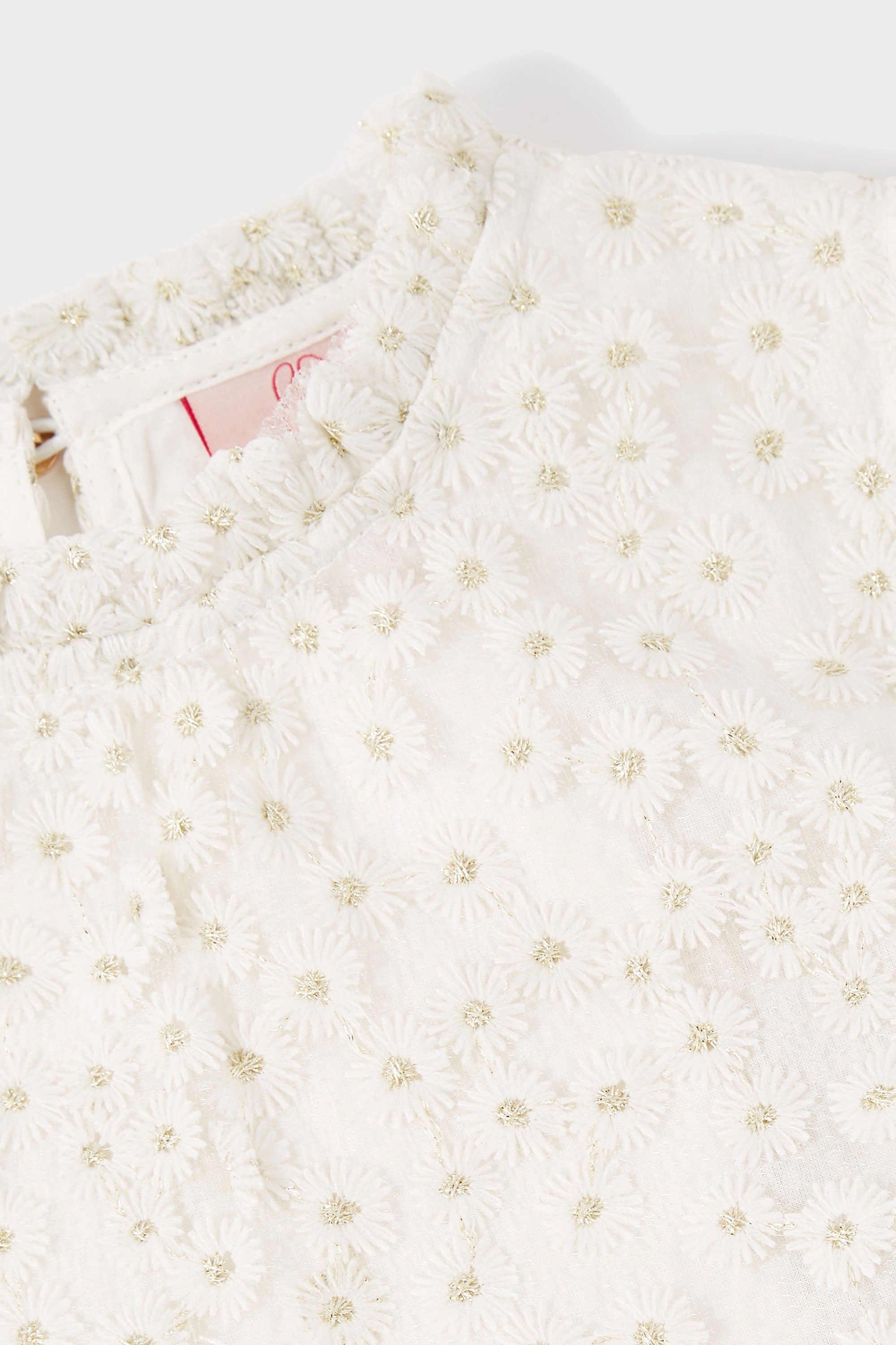 Fia Daisy Embroidered Dress