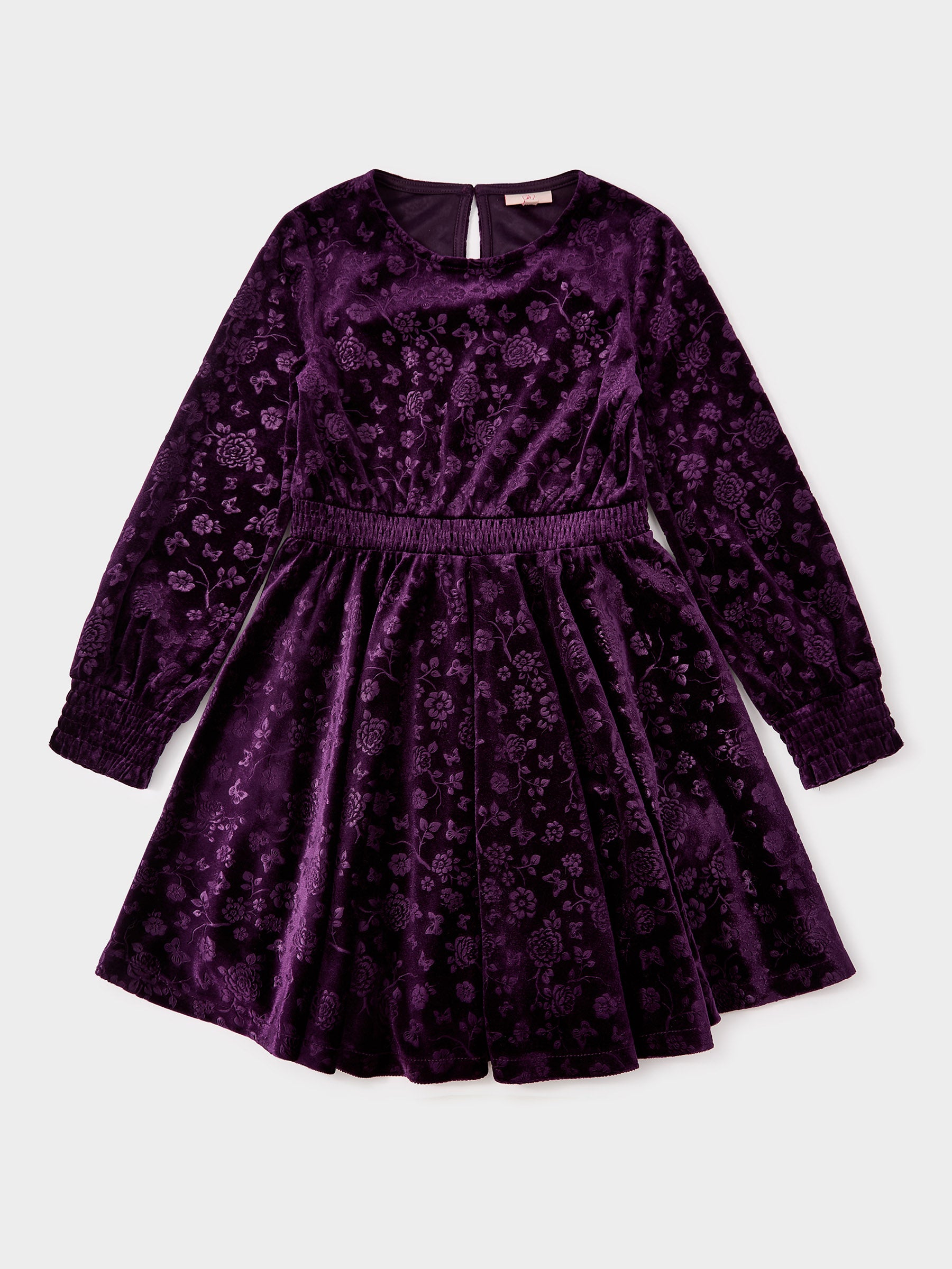 Asha Purple Floral Velvet Dress