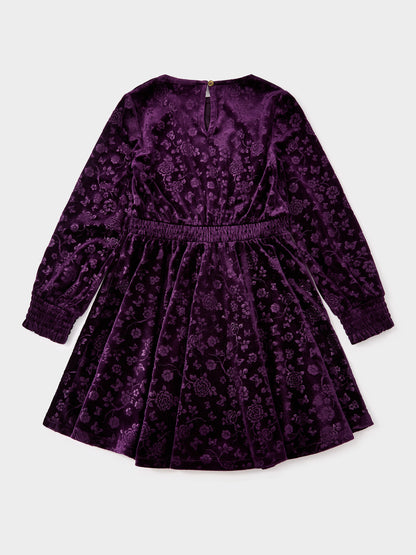 Asha Purple Floral Velvet Dress