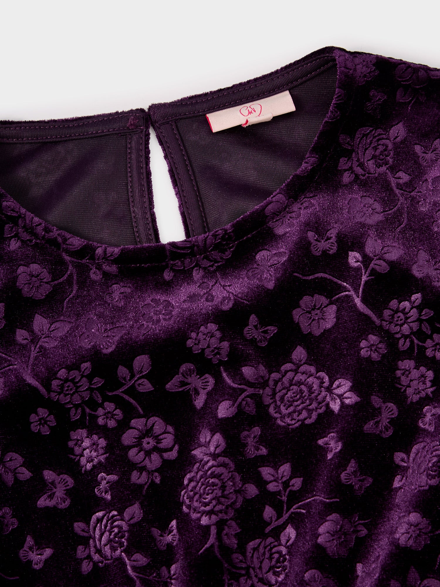 Asha Purple Floral Velvet Dress