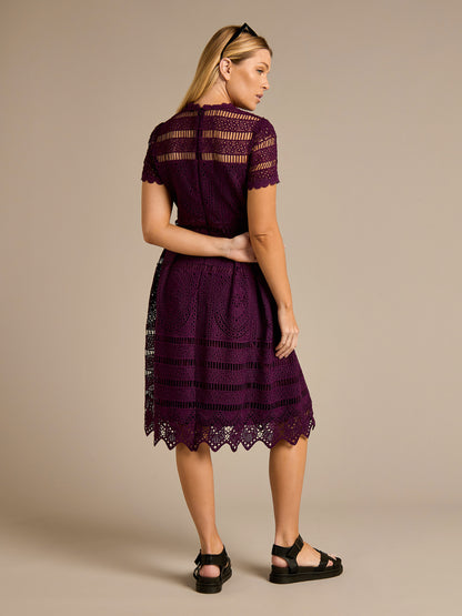 Nicola All-over Lace Purple Knee Length Dress | GWD Fashion