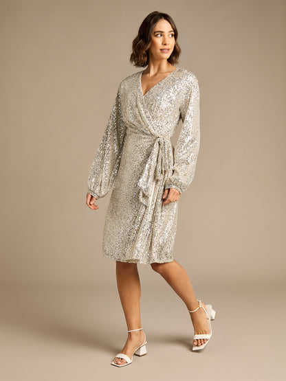 Kitty Silver Sequin Midi Dress